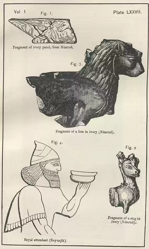 plate077